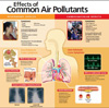 Effects of Common Air Pollutants Medical Poster small
