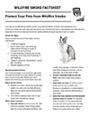 Protect Your Pets from Wildfire Smoke Cover